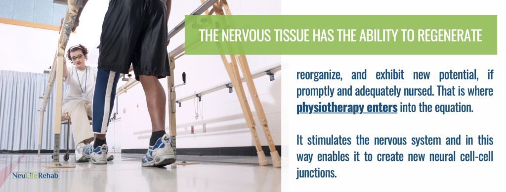 Where is the link between neurological rehabilitation and physiotherapy