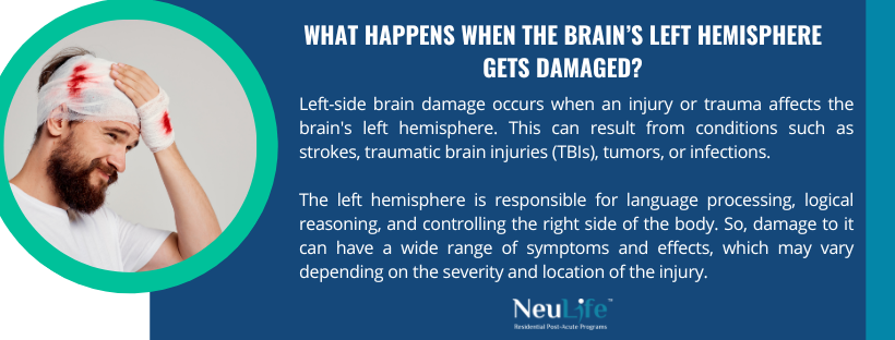 Prefrontal Cortex Damage: What to Expect & How to Recover