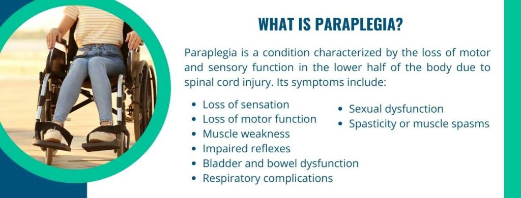 what is paraplegia