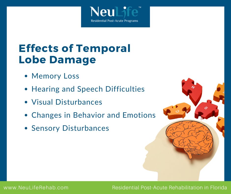 Temporal Lobe Damage: Understanding the Effects, Treatments & Recovery Process