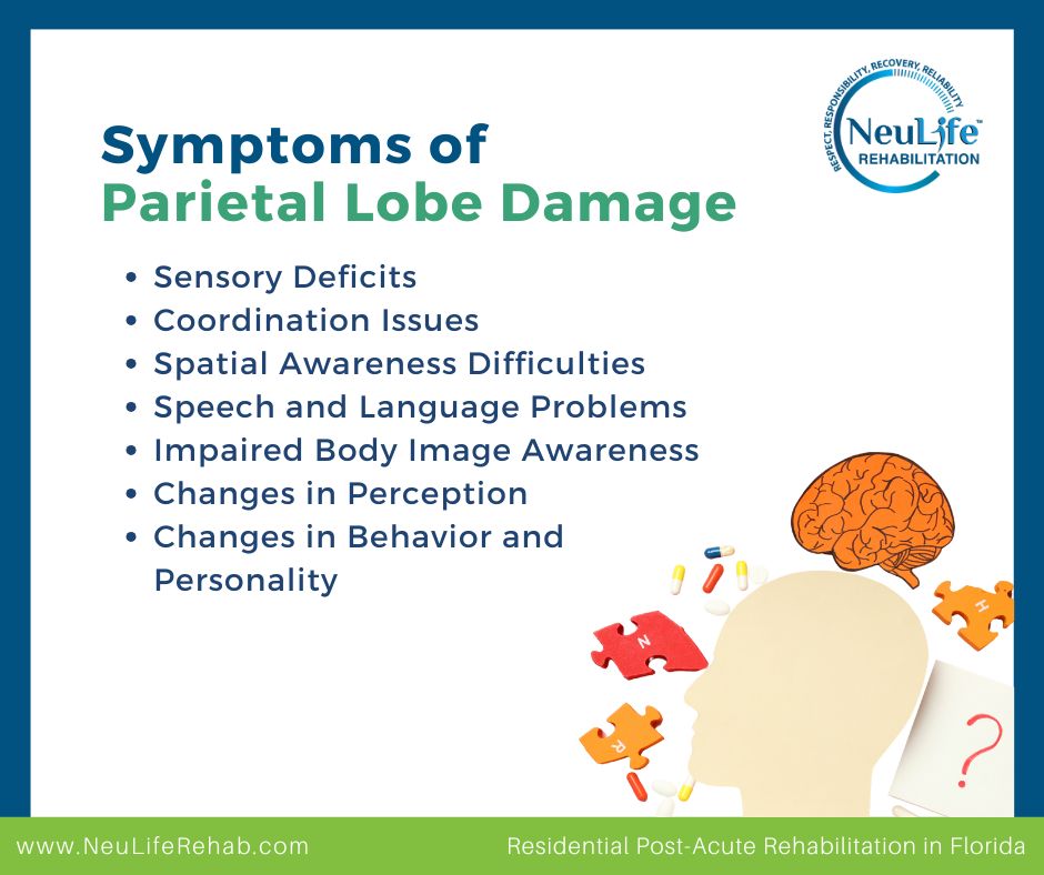 Dealing with Parietal Lobe Damage: Symptoms & Treatments