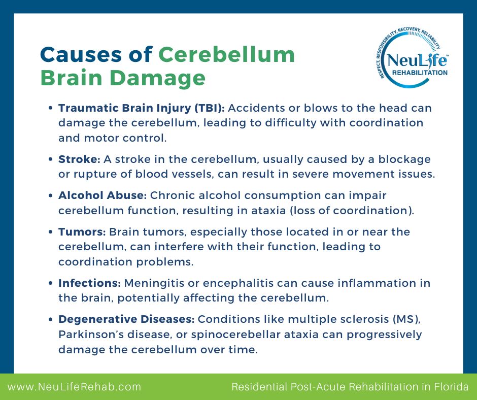 Cerebellum Brain Damage: What Causes It & How Rehabilitation Works