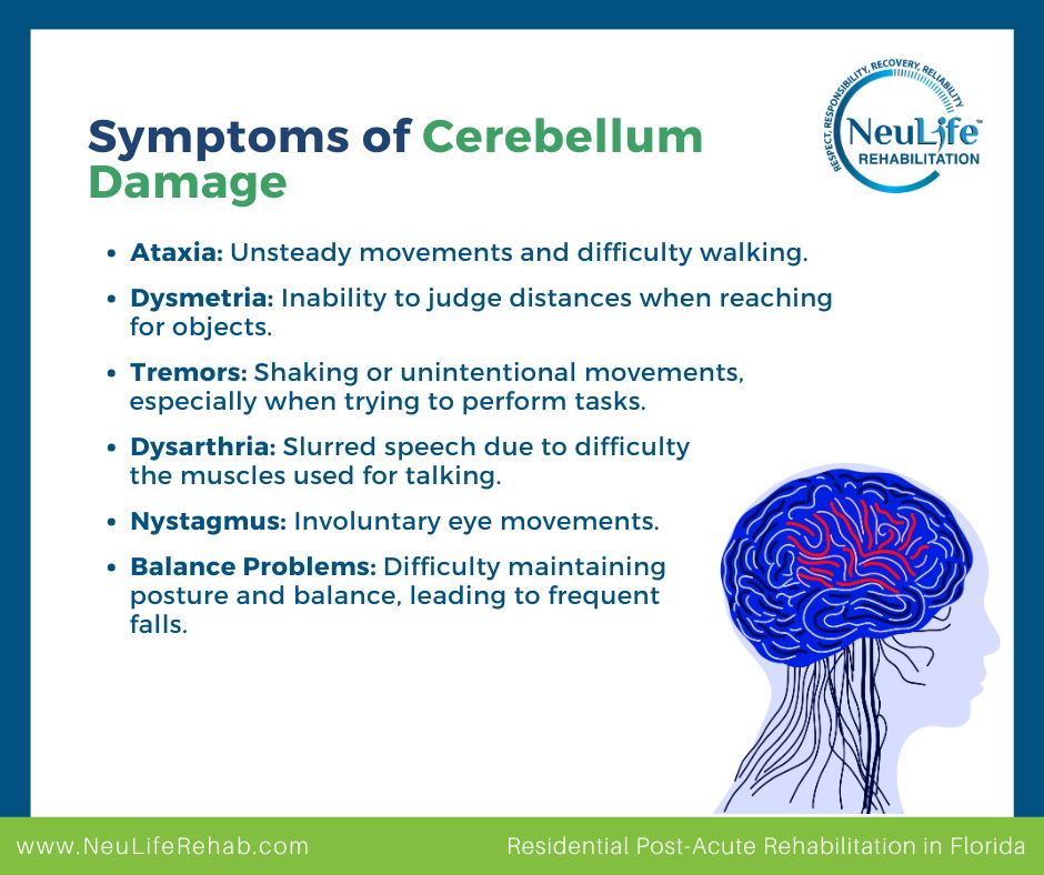 Cerebellum Brain Damage: What Causes It & How Rehabilitation Works